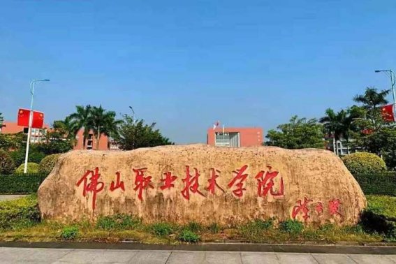 佛职院录取线2023