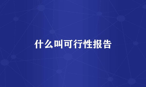 什么叫可行性报告