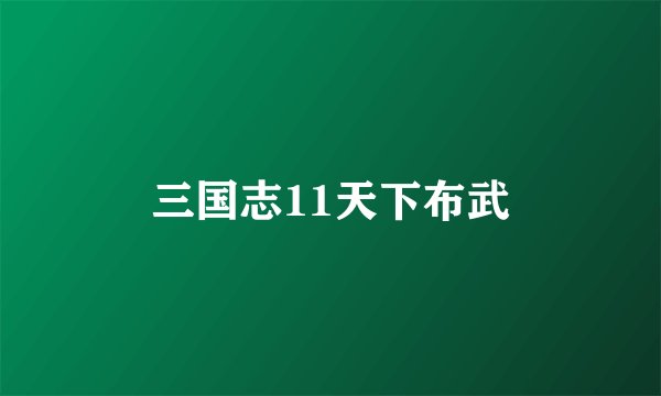 三国志11天下布武