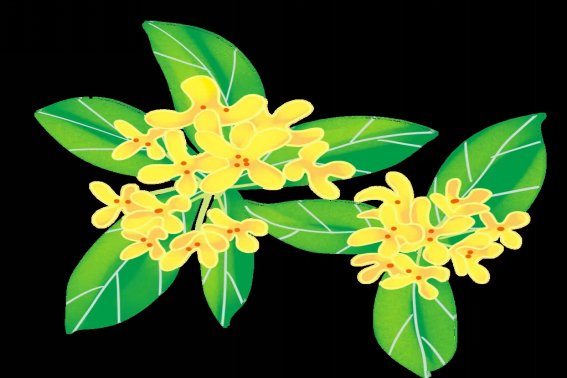 用金桂飘香造句