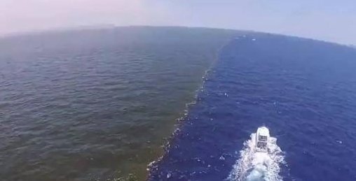 歌曲《阿拉斯加海湾》表达的是什么意思？