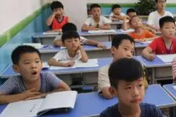 制定与制订的用法区别