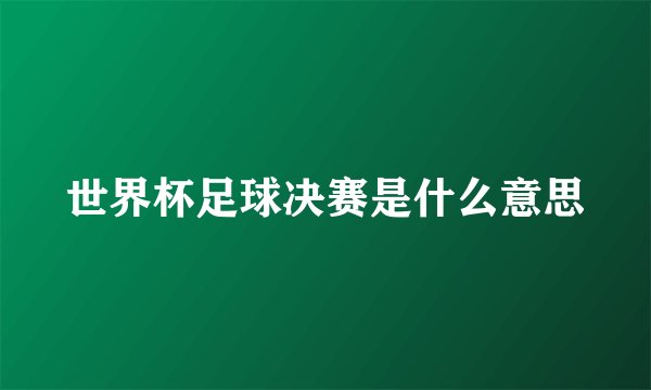 世界杯足球决赛是什么意思