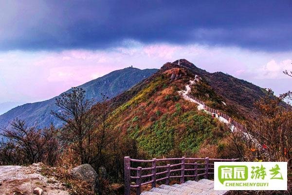 大围山国家森林公园门票多少钱