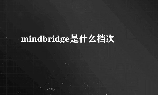 mindbridge是什么档次