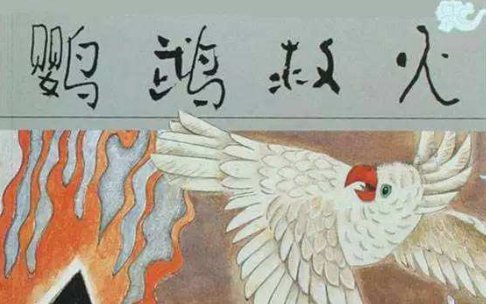 鹦鹉救火文言文翻译