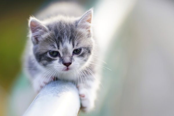 模样的拼音怎么读