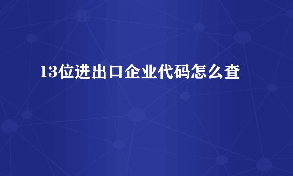 13位进出口企业代码怎么查