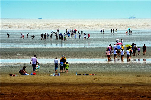 7·28江苏启东反对污水排海工程群体性事件的社会评价