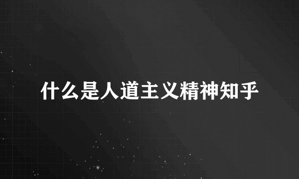什么是人道主义精神知乎
