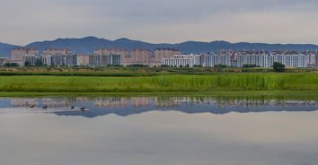 广灵县人民政府网站