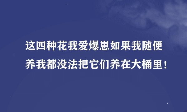 这四种花我爱爆崽如果我随便养我都没法把它们养在大桶里！