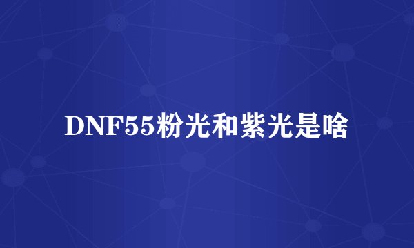 DNF55粉光和紫光是啥