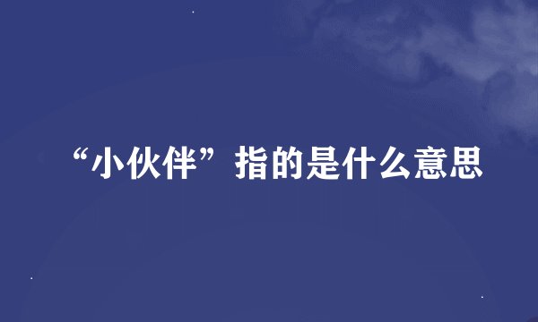 “小伙伴”指的是什么意思