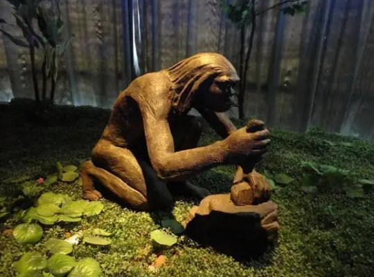 我国境内已知最早的人类是