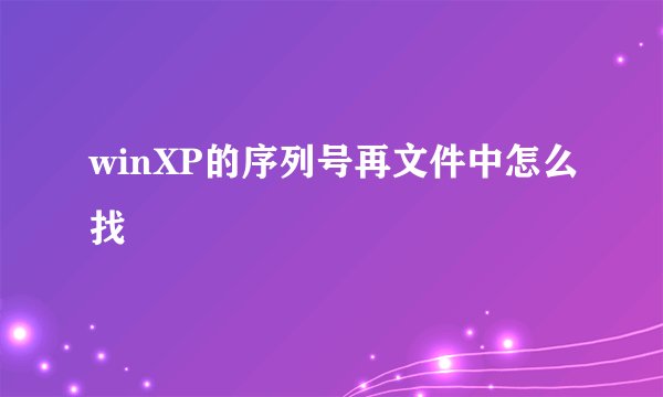 winXP的序列号再文件中怎么找