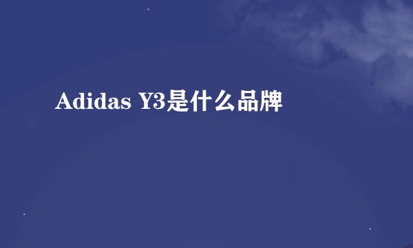 Adidas Y3是什么品牌