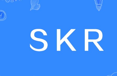 skr怎么读？
