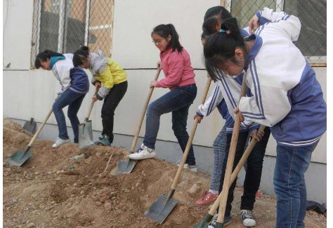 社会实践活动有哪些？