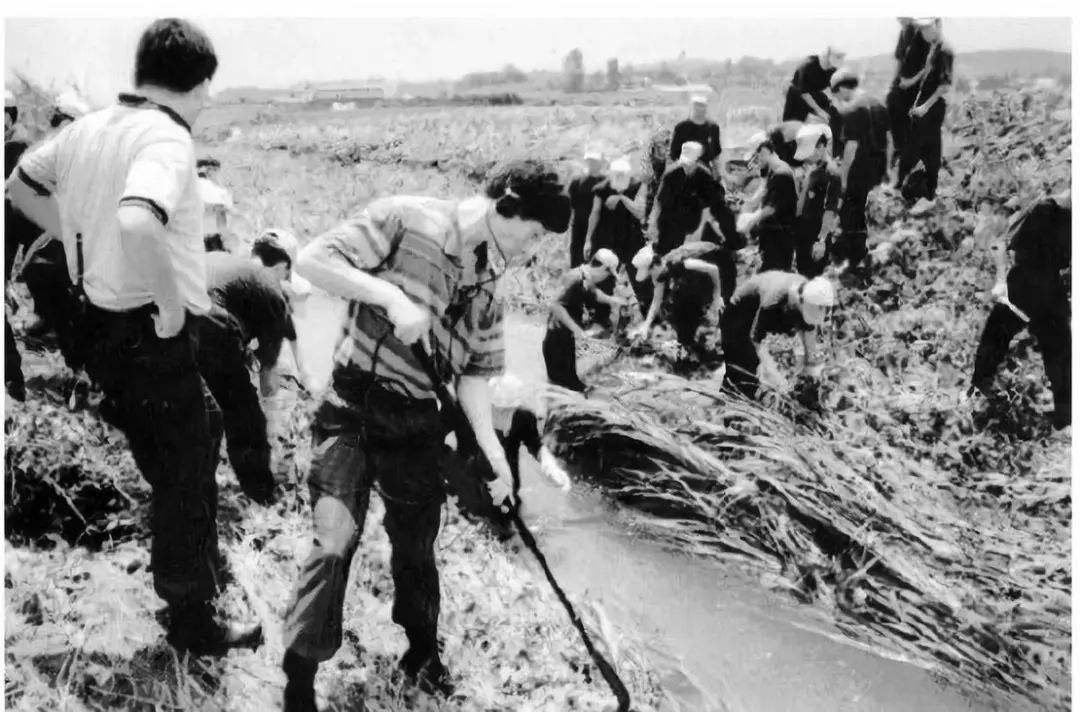 韩国华城连环杀人案调查落下帷幕，最终结果如何？