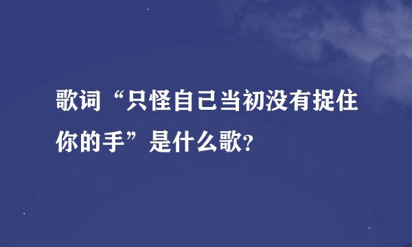 歌词“只怪自己当初没有捉住你的手”是什么歌？
