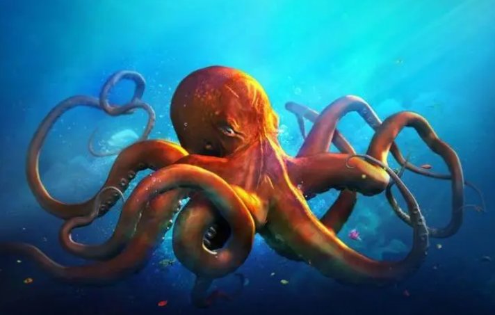 张姓的人都有什么绰号啊？