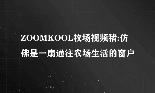 ZOOMKOOL牧场视频猪:仿佛是一扇通往农场生活的窗户