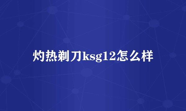 灼热剃刀ksg12怎么样