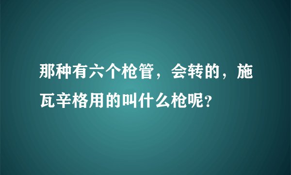 那种有六个枪管，会转的，施瓦辛格用的叫什么枪呢？
