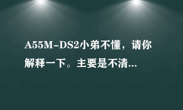A55M-DS2小弟不懂，请你解释一下。主要是不清楚后面DS2是什么意思！