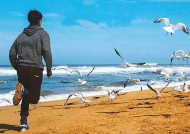 从的拼音怎么拼？