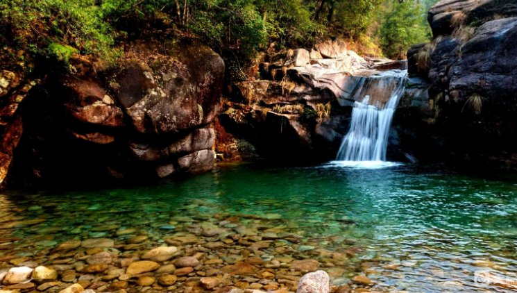 到的笔顺是什么?