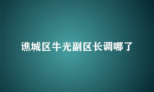 谯城区牛光副区长调哪了