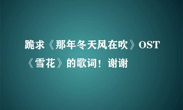 跪求《那年冬天风在吹》OST《雪花》的歌词！谢谢