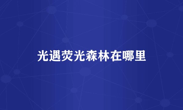 光遇荧光森林在哪里