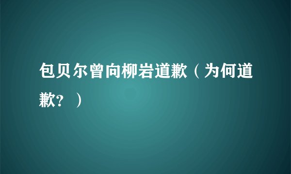 包贝尔曾向柳岩道歉（为何道歉？）