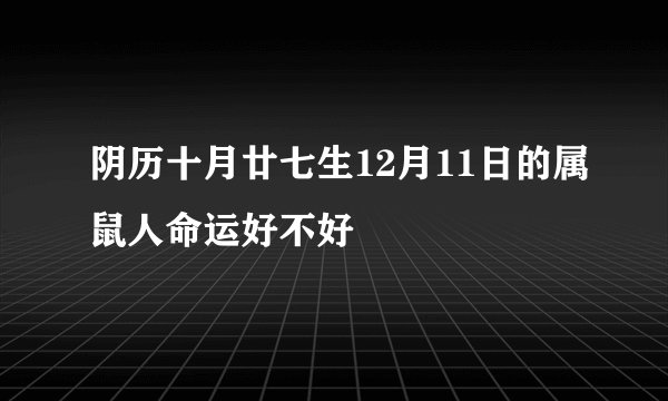 阴历十月廿七生12月11日的属鼠人命运好不好