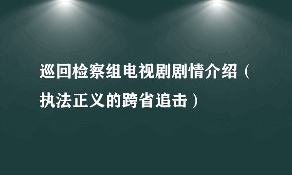 巡回检察组电视剧剧情介绍（执法正义的跨省追击）