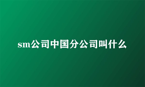 sm公司中国分公司叫什么