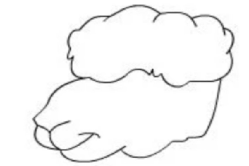 小羊怎么画简单又漂亮又可爱