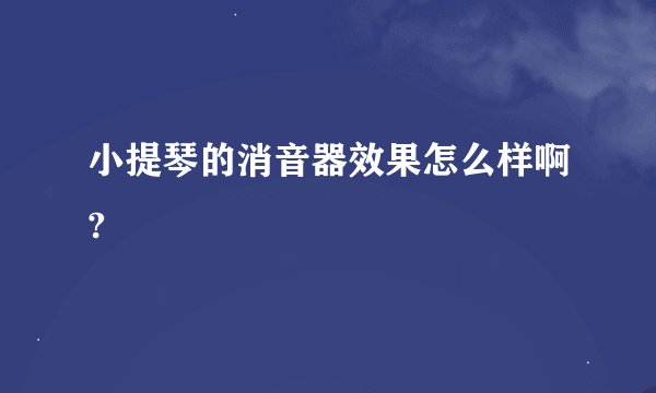 小提琴的消音器效果怎么样啊?