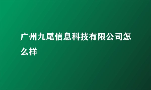 广州九尾信息科技有限公司怎么样