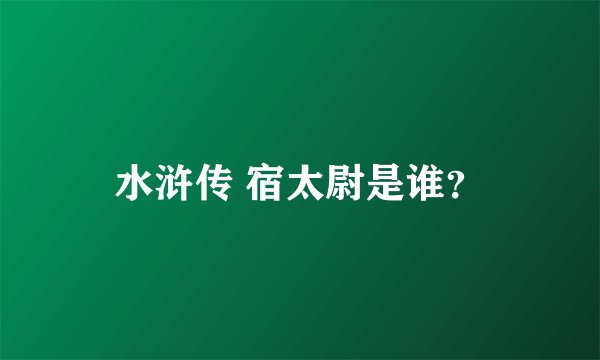 水浒传 宿太尉是谁？