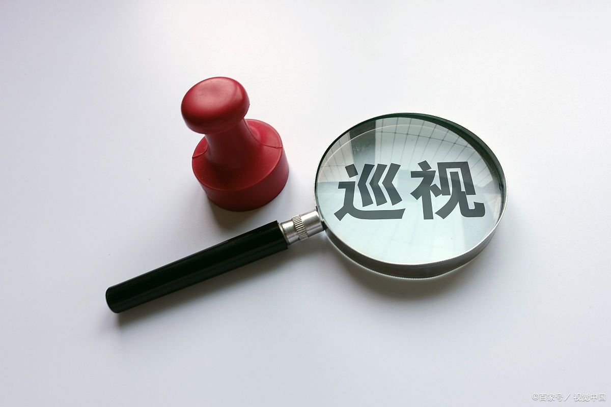 巡视员是什么级别？