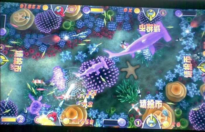 海洋之星2三色鲨王游戏机的玩法说明