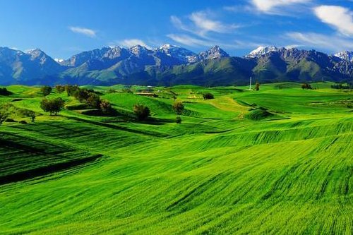 毛茸茸和毛绒绒有什么区别？