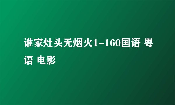 谁家灶头无烟火1-160国语 粤语 电影