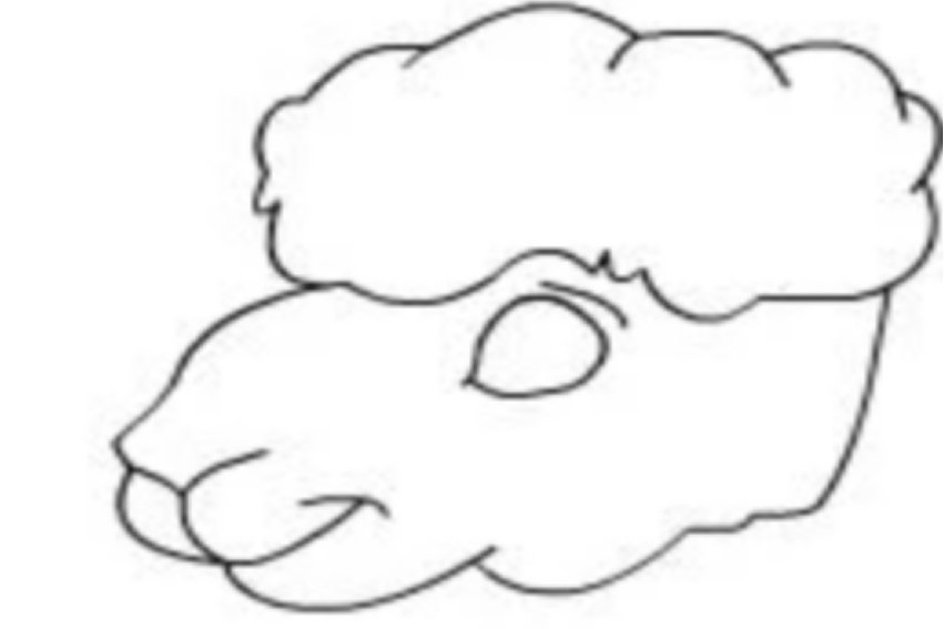 小羊怎么画简单又漂亮又可爱