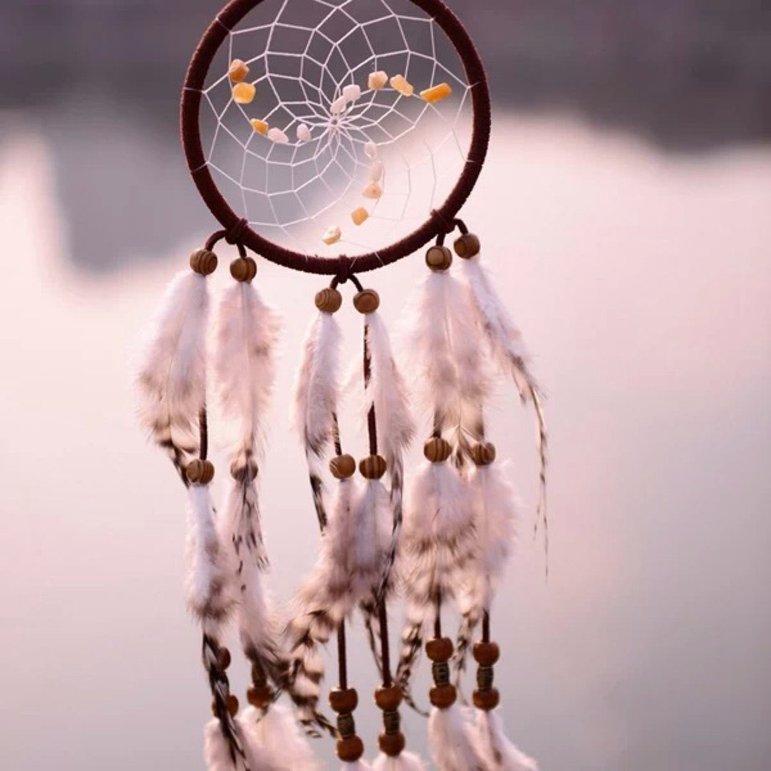 梦网代表什么意思