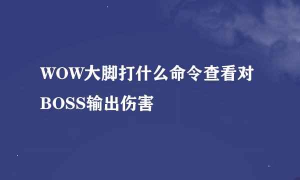 WOW大脚打什么命令查看对BOSS输出伤害